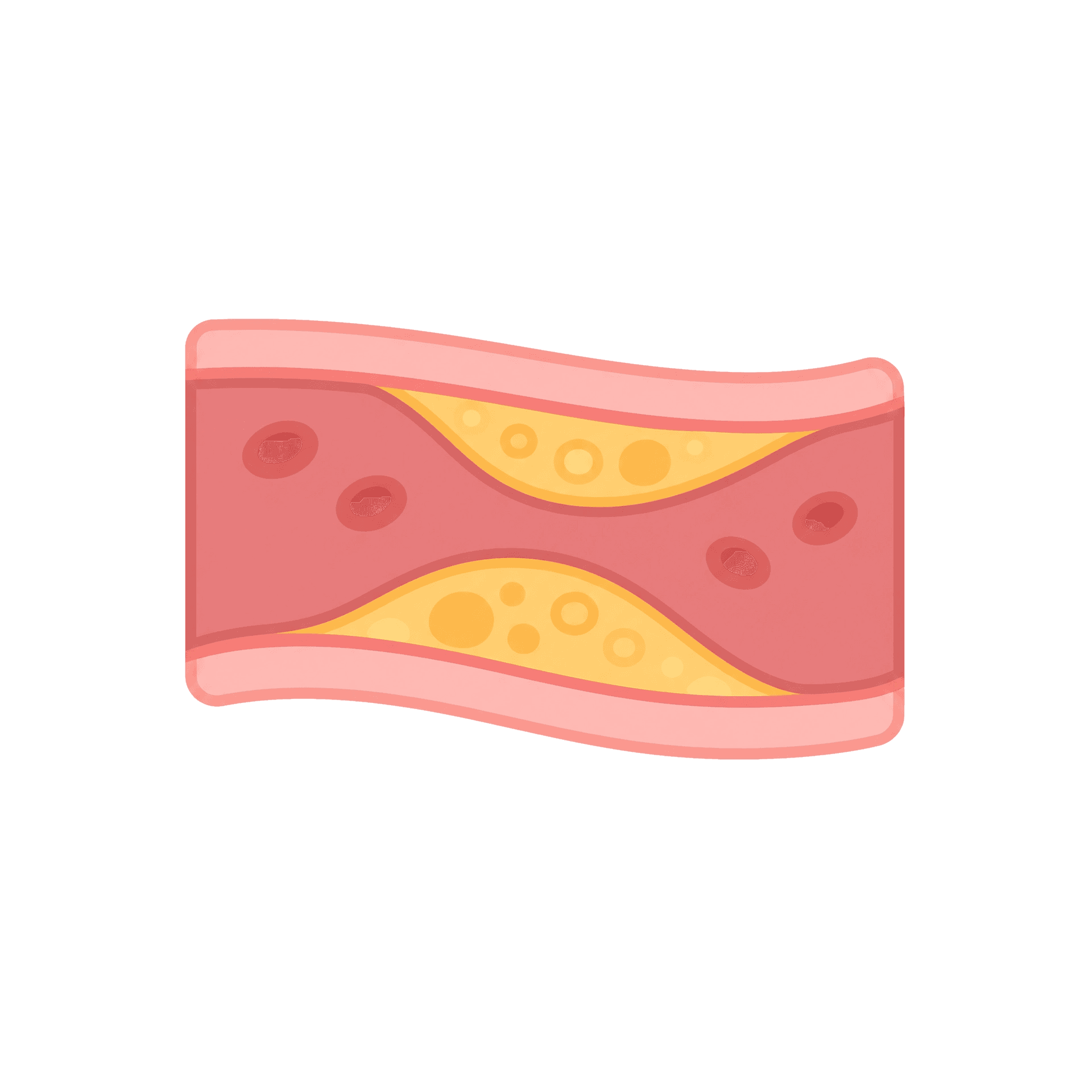 콜레스테롤
