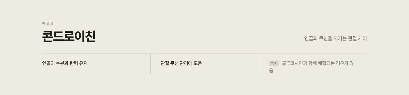콘드로이친