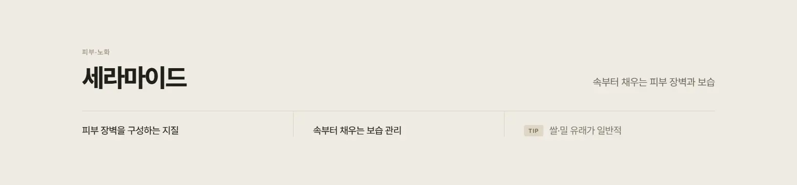 세라마이드