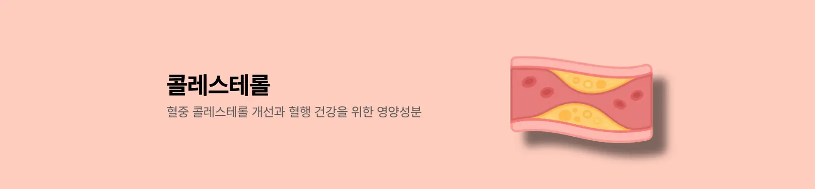 콜레스테롤