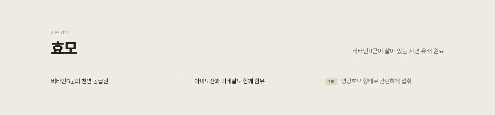 효모