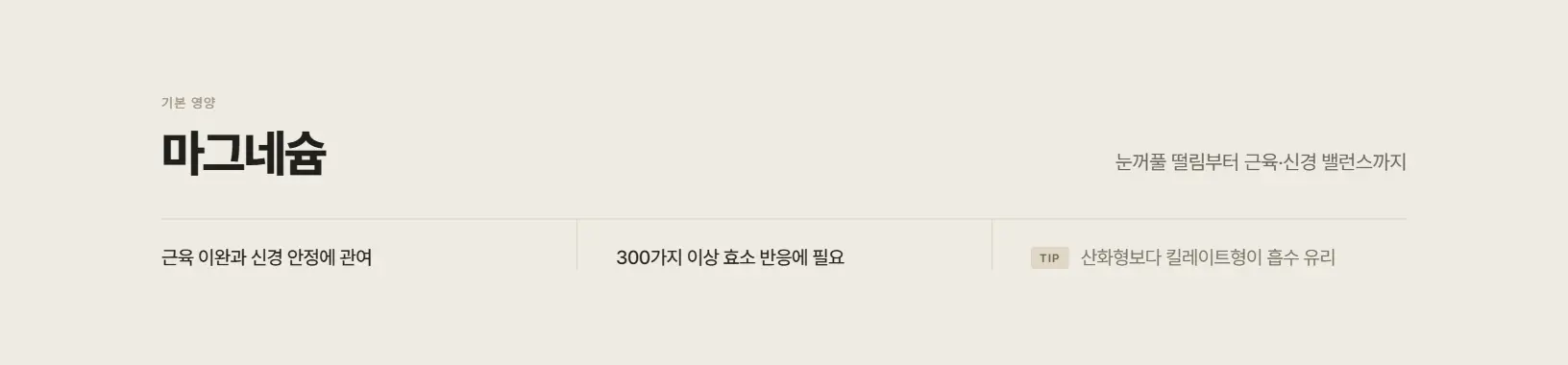마그네슘