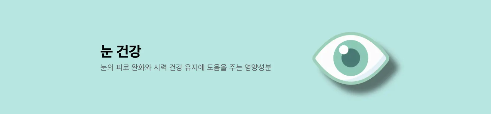 눈 건강